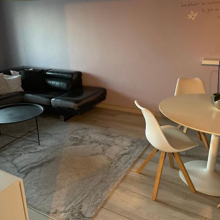 Superbe Appartement Avec Place De Parking Gratuit Strasbourg Eksteriør bilde