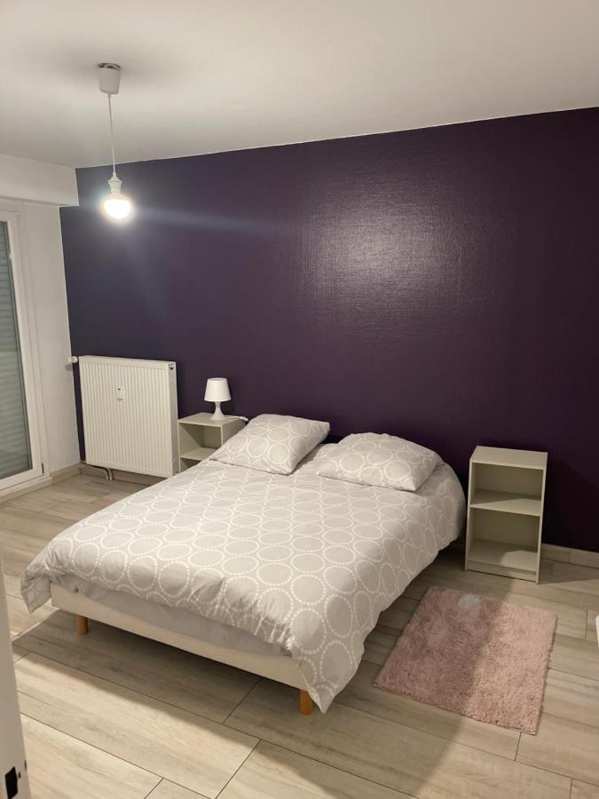 Superbe Appartement Avec Place De Parking Gratuit Strasbourg Eksteriør bilde